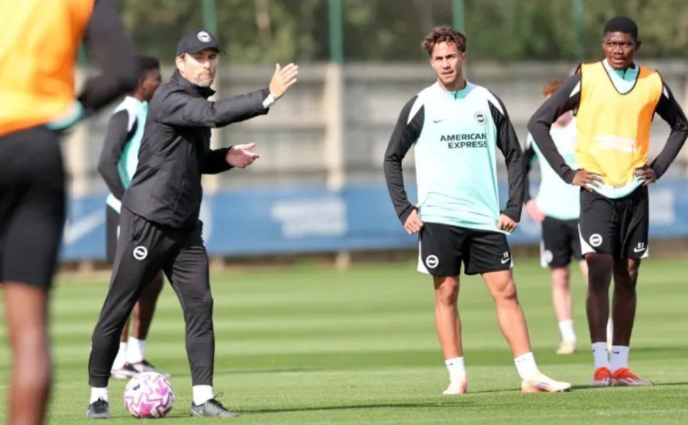 brightonandhovealbion.com