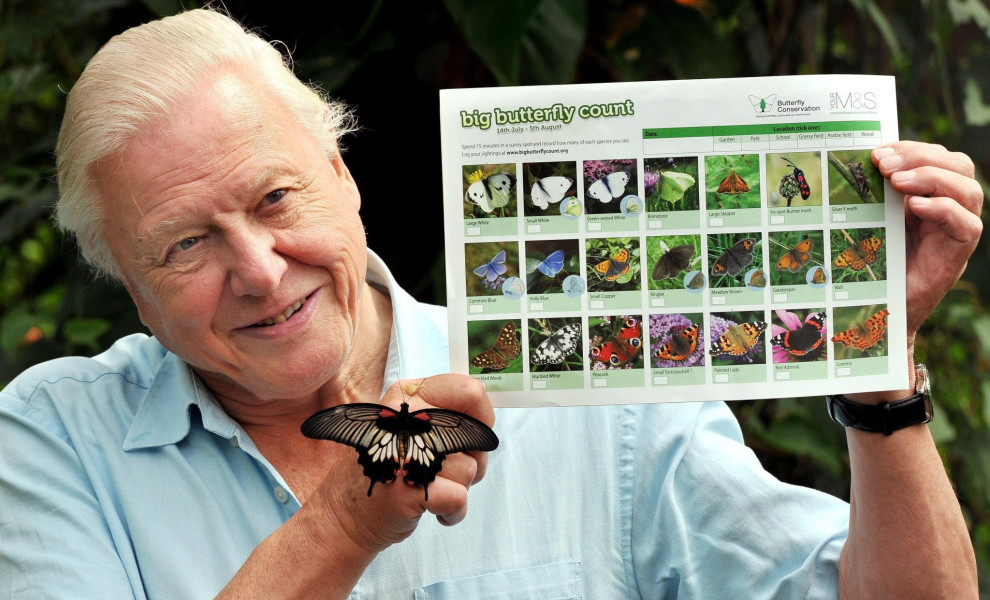 (Photo by John Stillwell/PA Images via Getty Images)