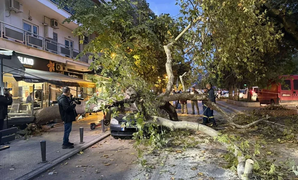 Πηγή: voria.gr