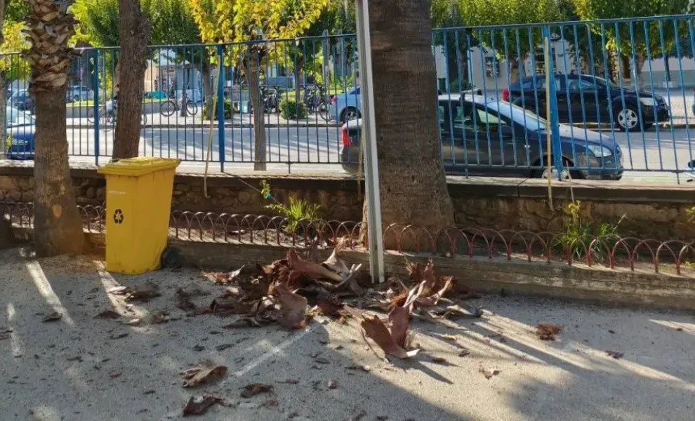 Anagnostis Anagnostis