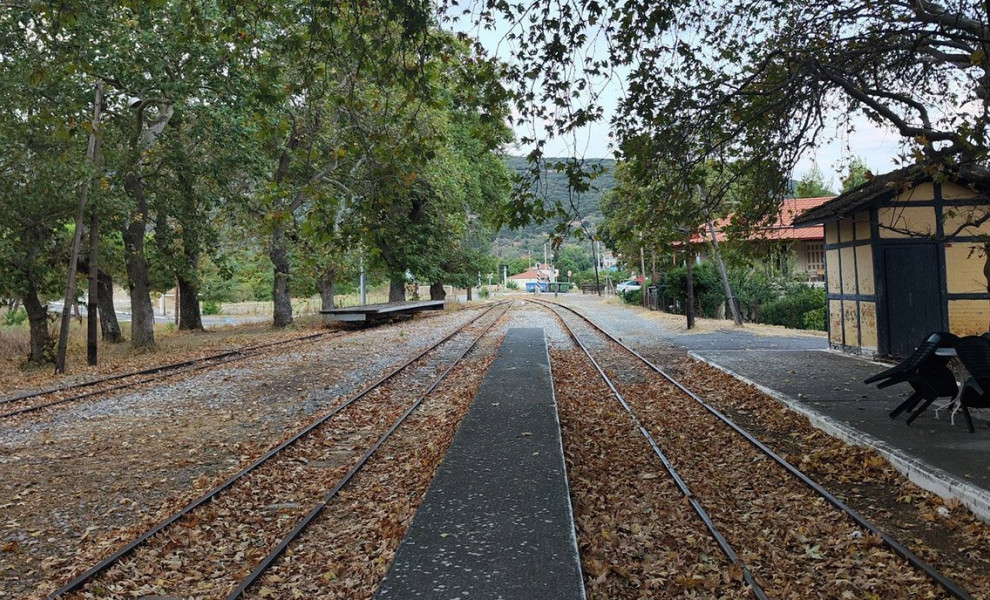 Anagnostis Anagnostis