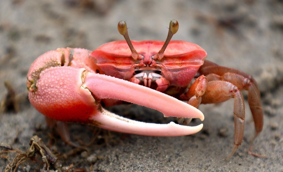 Imago / ZUMA Press Wire