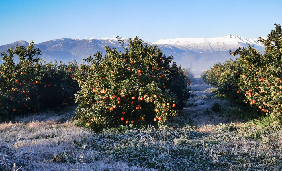 Φωτογραφία αρχείου INTIME