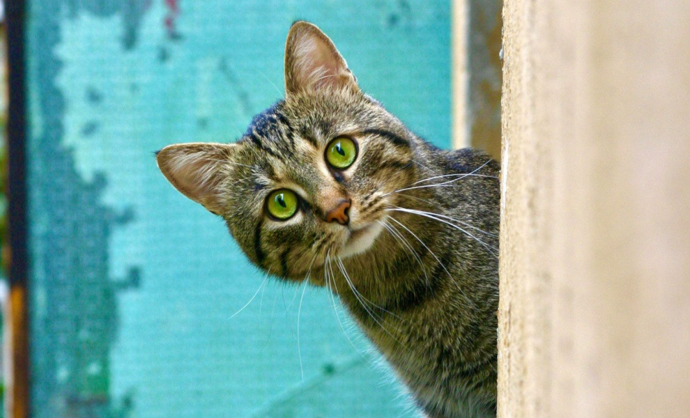 Φωτογραφία: Unsplash