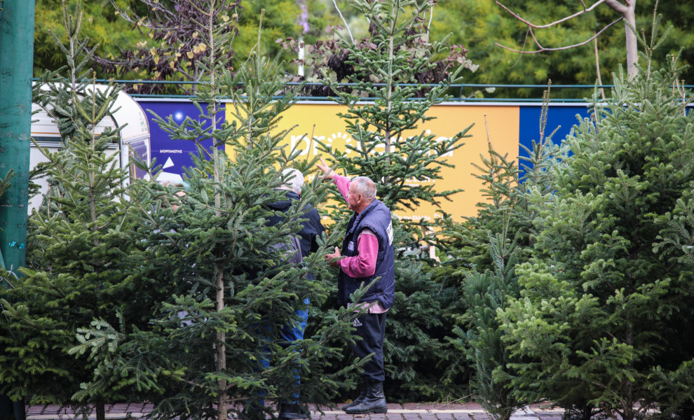 φωτό αρχείου, credits: Μαριάνθη Τσομπανοπούλου/Eurokinissi