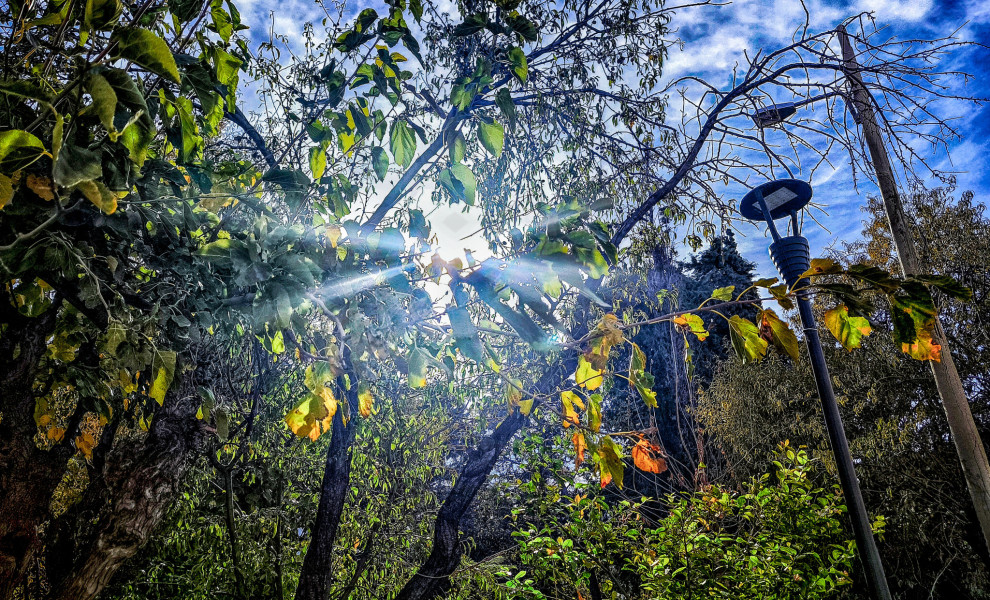 Φωτό: ΓΙΩΡΓΟΣ ΚΟΝΤΑΡΙΝΗΣ / EUROKINISSI