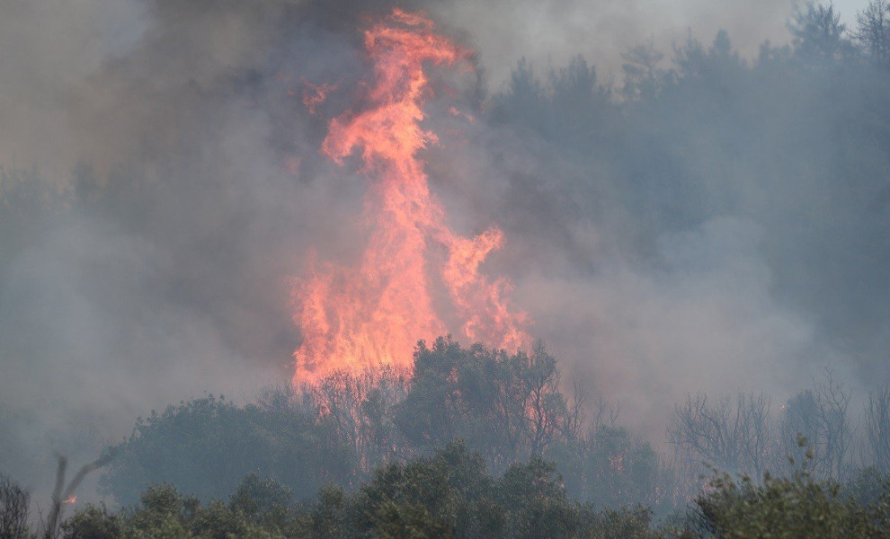 Καταστροφές απο την πυρκαγιά στην Αλεξανδρούπολη. Τρίτη 22 Αυγούστου 2023  (ΒΑΣΙΛΗΣ ΒΕΡΒΕΡΙΔΗΣ / ΜΟΤΙΟΝ ΤΕΑΜ)