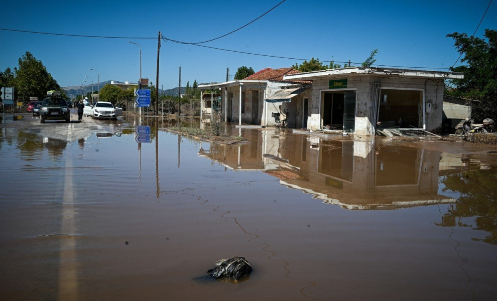 Καθώς τα νερά υποχωρούν, αλλά και μέσα στα στάσιμα που σε πολλές περιοχές δεν έχουν ακόμα υποχωρήσει, τα χιλιάδες νεκρά ζώα που βρίσκονται σε όλες τις πληγείσες περιοχές του Θεσσαλικού κάμπου, είναι υγειονομική βόμβα για τους κατοίκους αυτών των περιοχών,