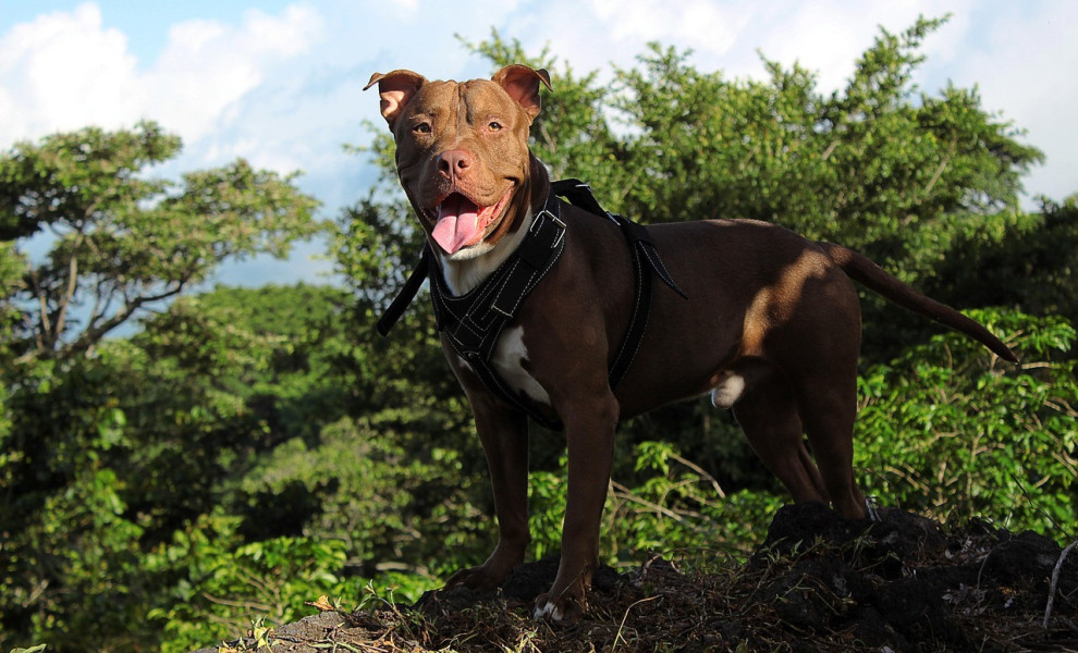 Φωτο αρχείου: Pixabay/alexfuentes6g