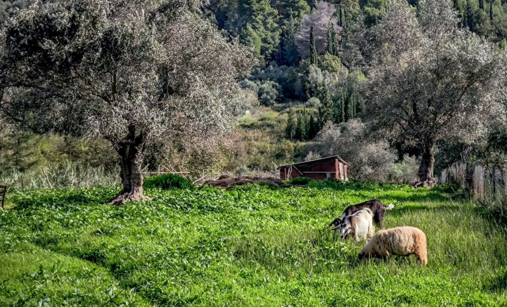 Φωτ. αρχείου EUROKINISSI
