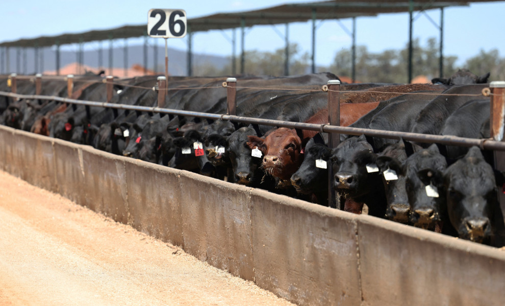 REUTERS/Hollie Adams