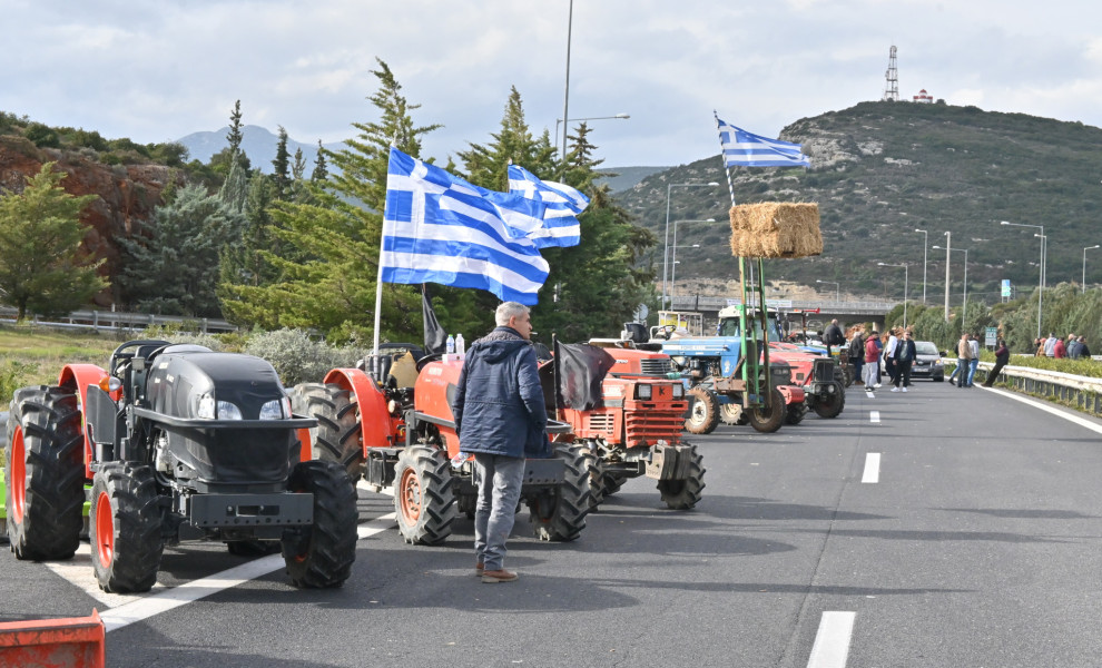 Φωτό: ΒΑΣΙΛΗΣ ΠΑΠΑΔΟΠΟΥΛΟΣ/EUROKINISSI