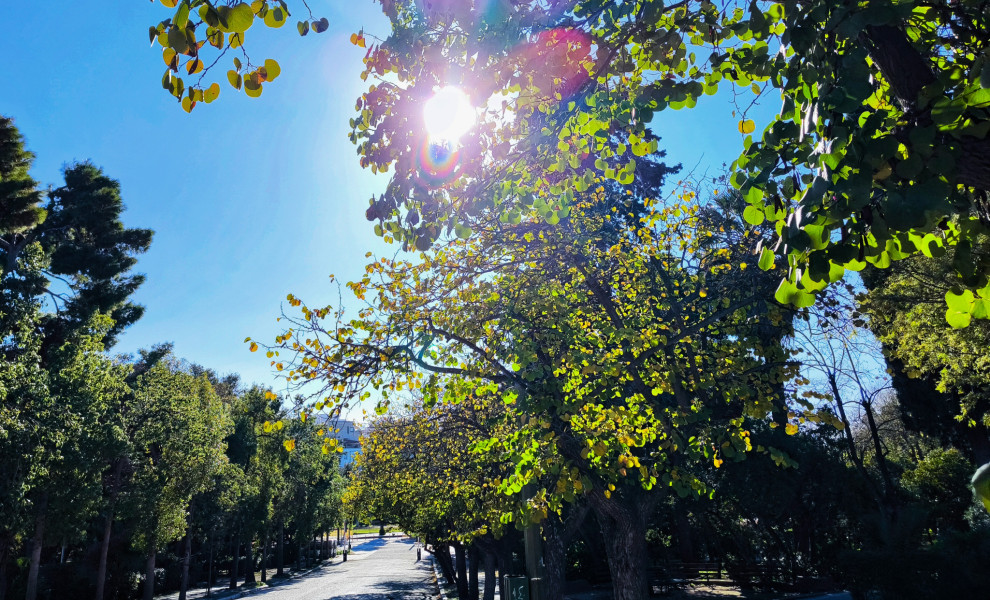 Φωτό: ΓΙΩΡΓΟΣ ΚΟΝΤΑΡΙΝΗΣ/EUROKINISSI