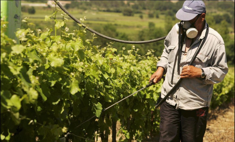 Patrick AVENTURIER / GAMMA RAPHO / Getty Images