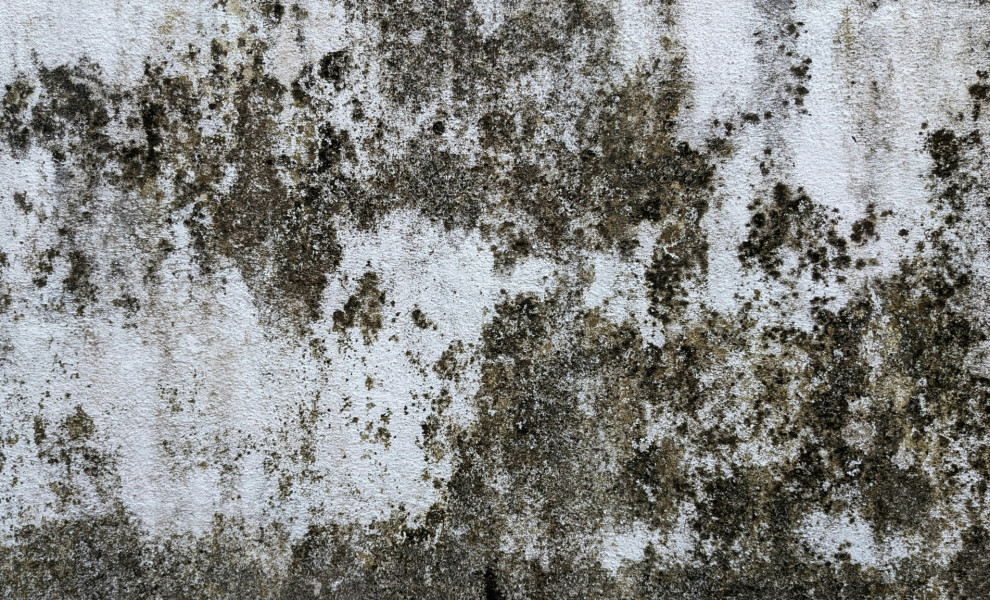 Unsplash