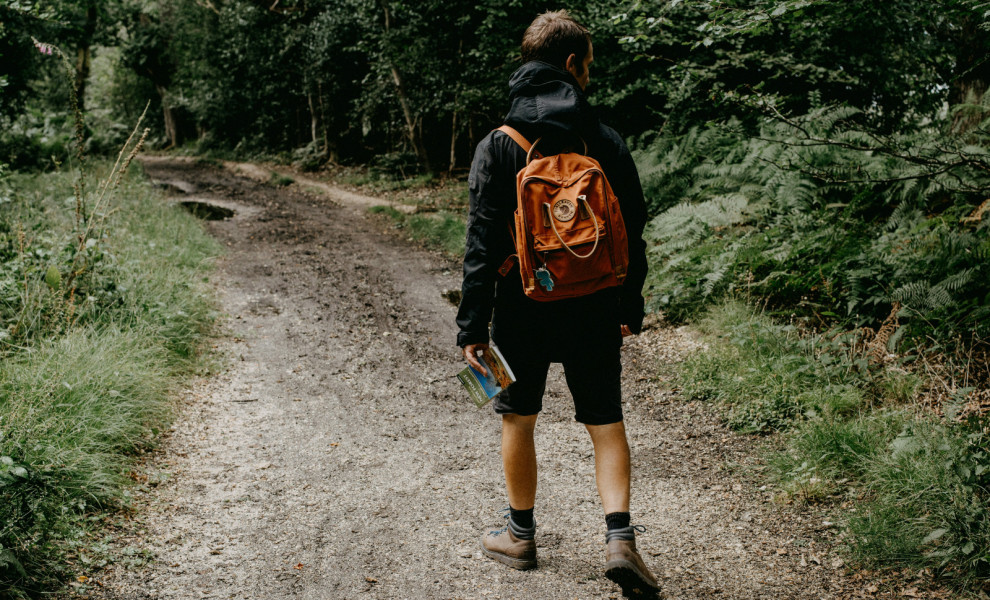 Annie Spratt/Unsplash