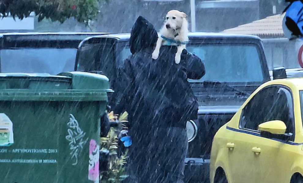 Γιάννης Κέμμος/flash.gr