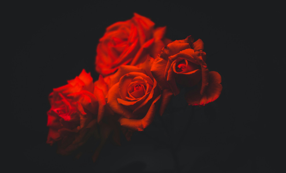 Photo Credits: Unplash