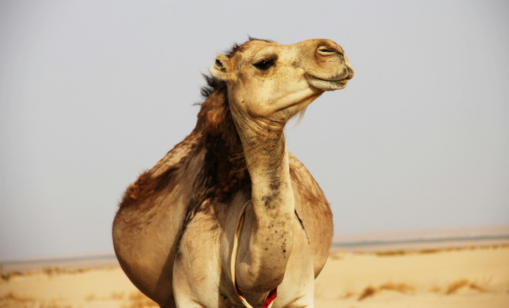 Φωτογραφία αρχείου (Unsplash)