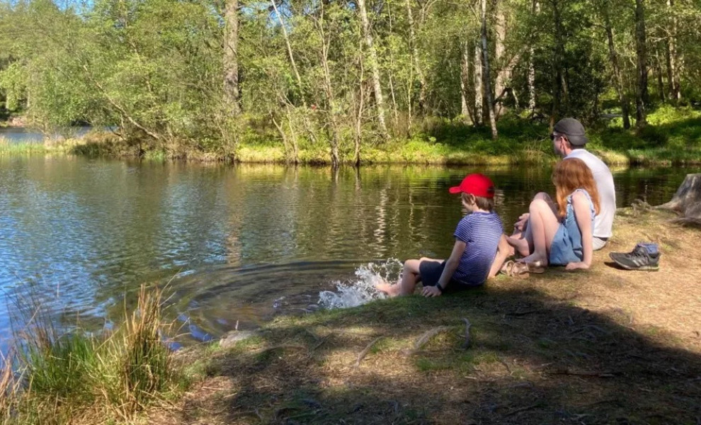 Πάτρικ Σάρνλεϊ social media