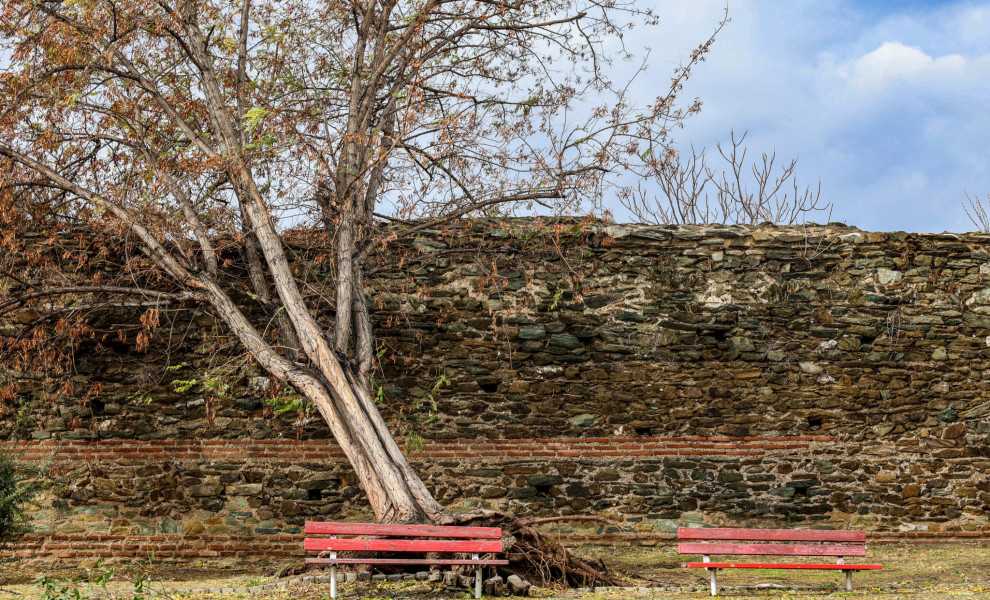 Φωτογραφία αρχείου από πτώση δέντρου στη Θεσσαλονίκη (Eurokinissi)