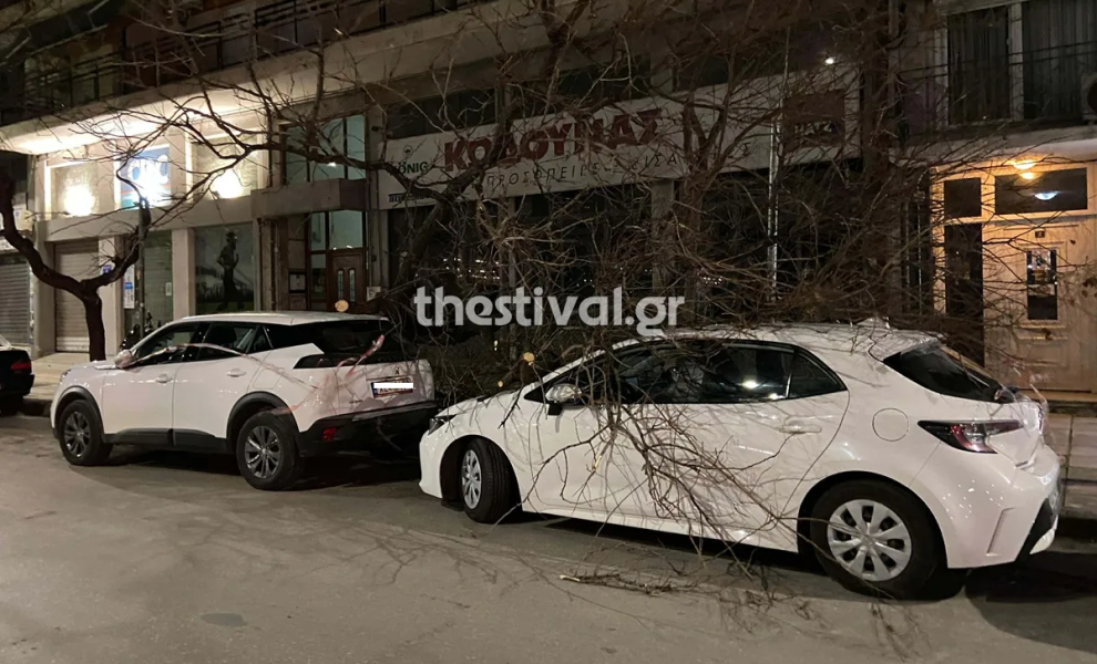 Φωτό: thestival.gr