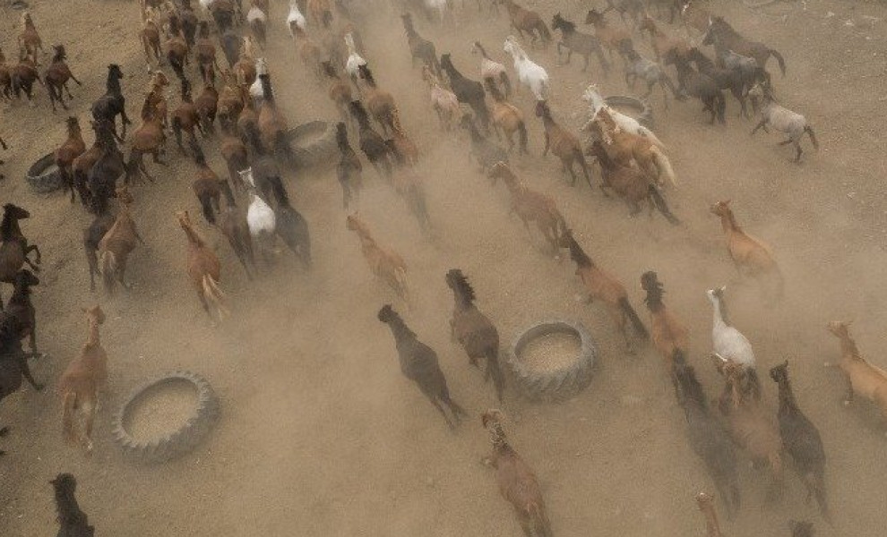 Φωτογραφίες και βίντεο του Αχιλλέα Χήρα /ΑΠΕ-ΜΠΕ