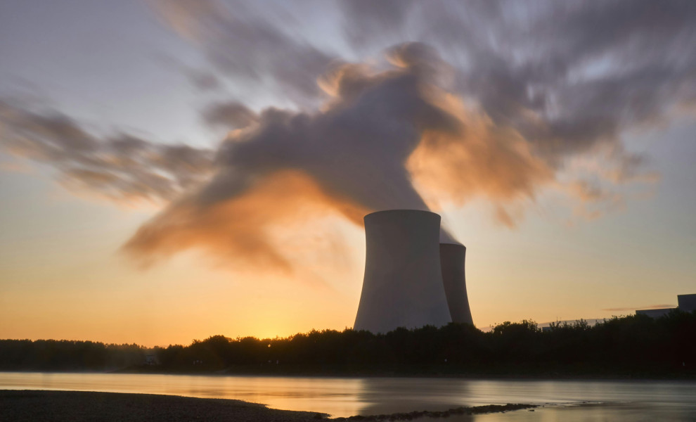 Photo Credits: Pexels