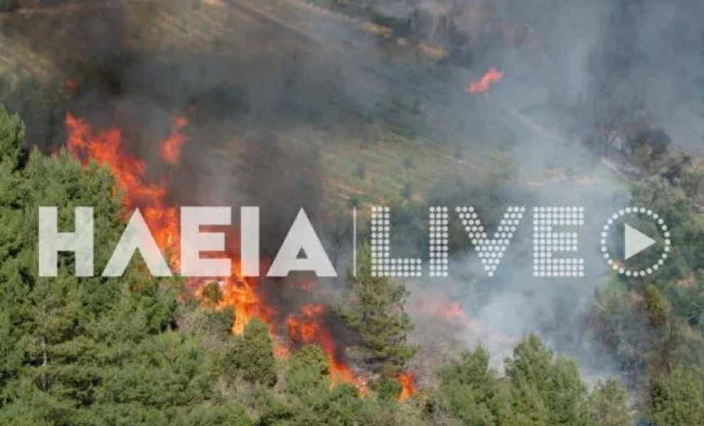 Φωτ. ΗΛΕΙΑ LIVE