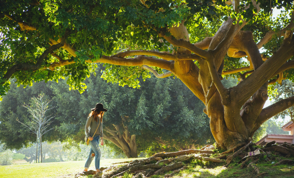 Φωτό αρχείου: Unsplash