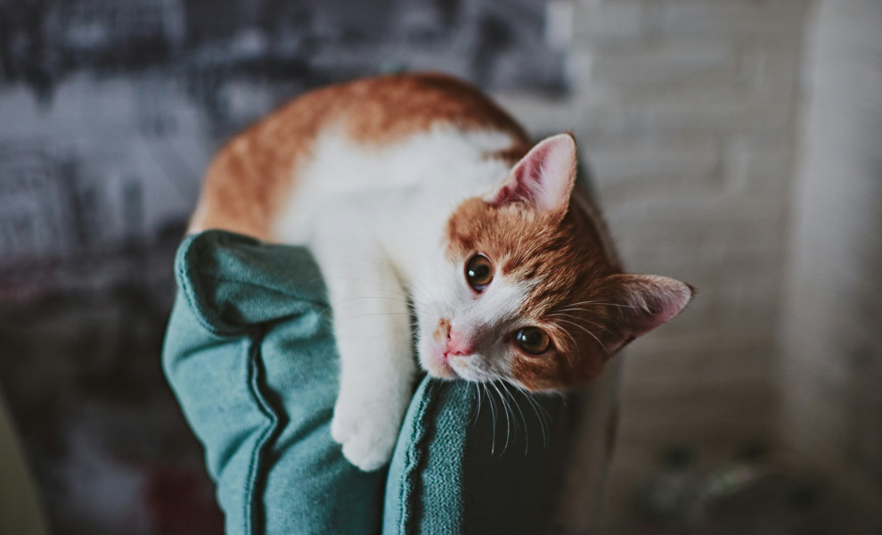 Unsplash