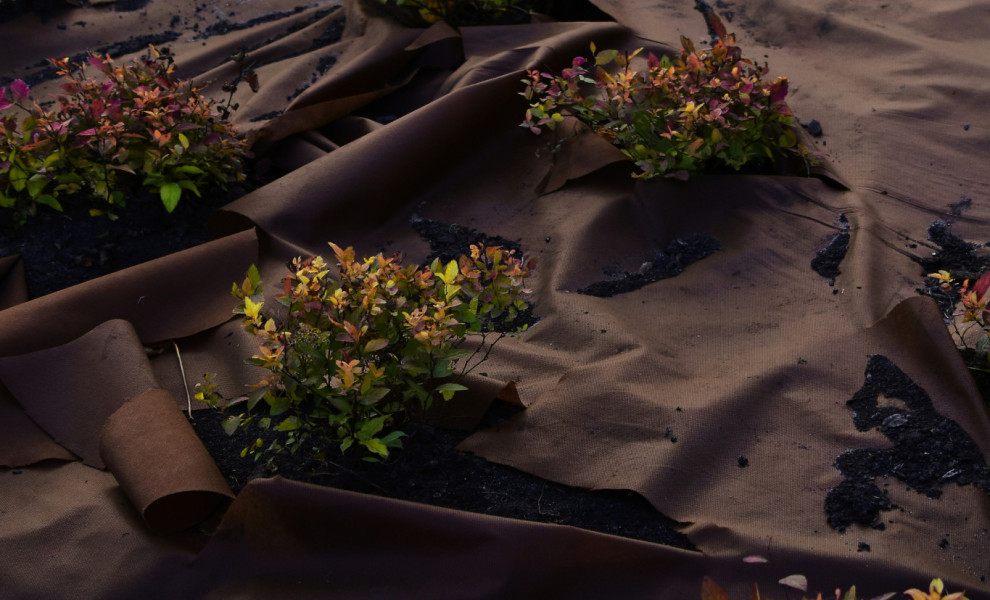 Unsplash