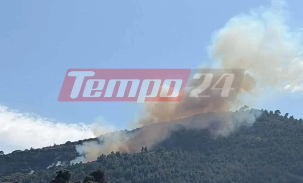 Φωτ.: tempo24
