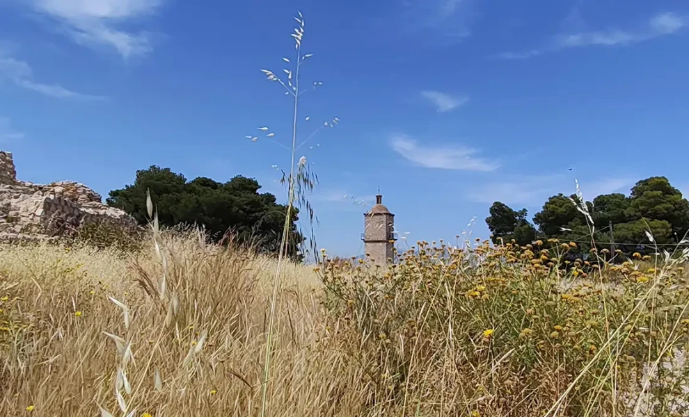Anagnostis