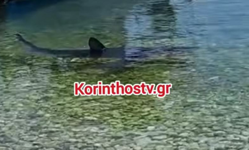 Πηγή: Korinthostv.gr