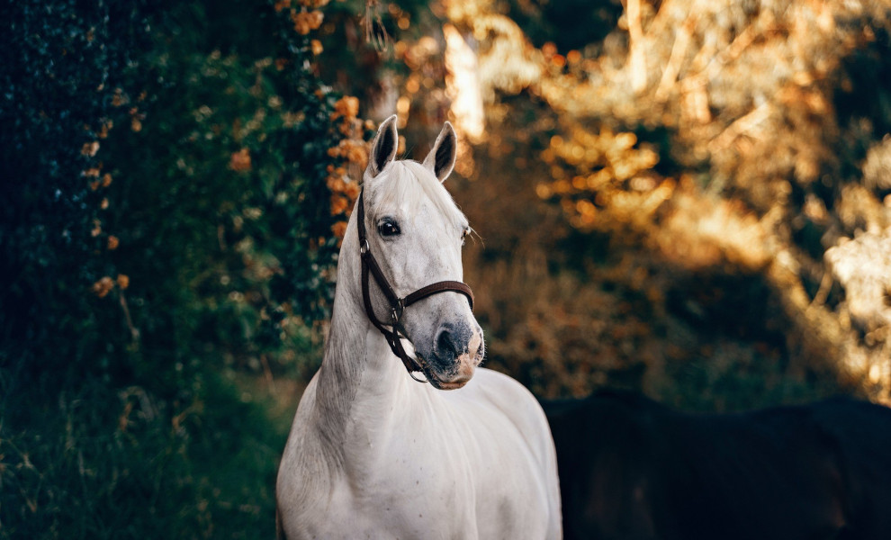 φωτο αρχείου unsplash