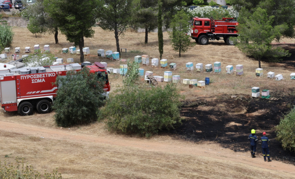 Άλσος Βεΐκου: Βίντεο καταγράφει μελισσοκόμο στον χώρο της φωτιάς - Ταυτοποιήθηκε και αναζητείται