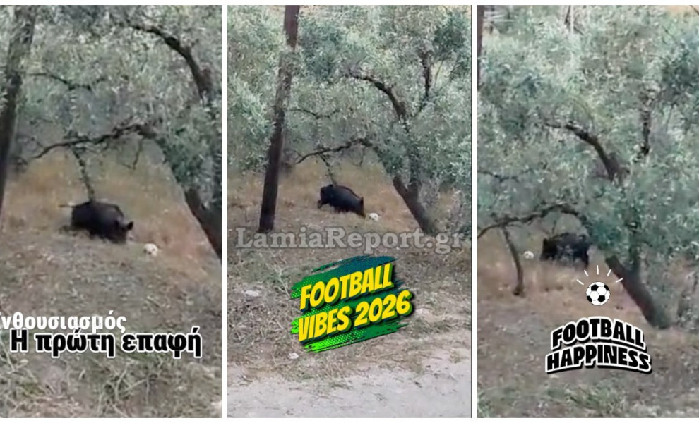 lamiareport.gr