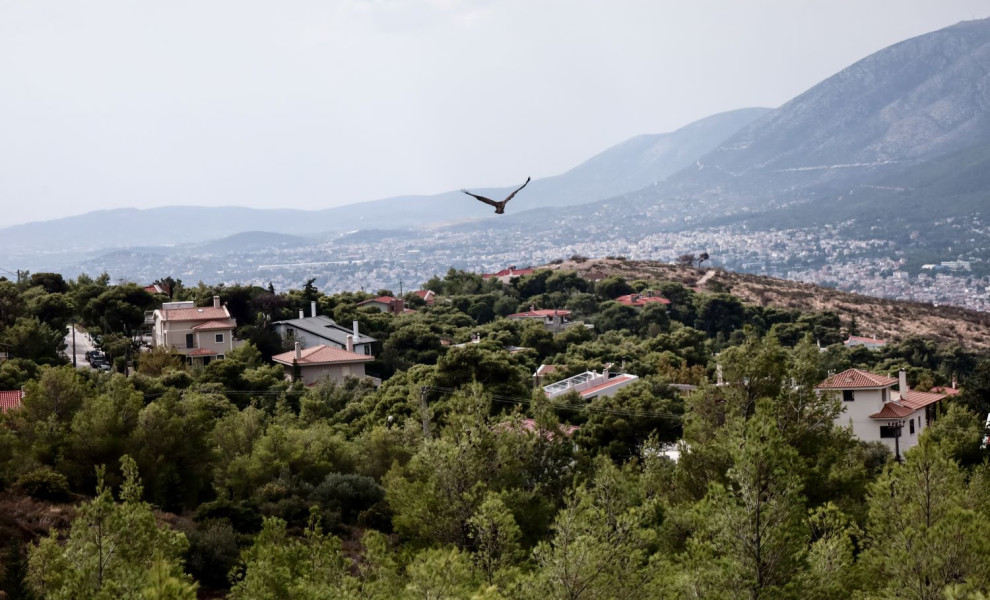 Φωτ. αρχείου EUROKINISSI