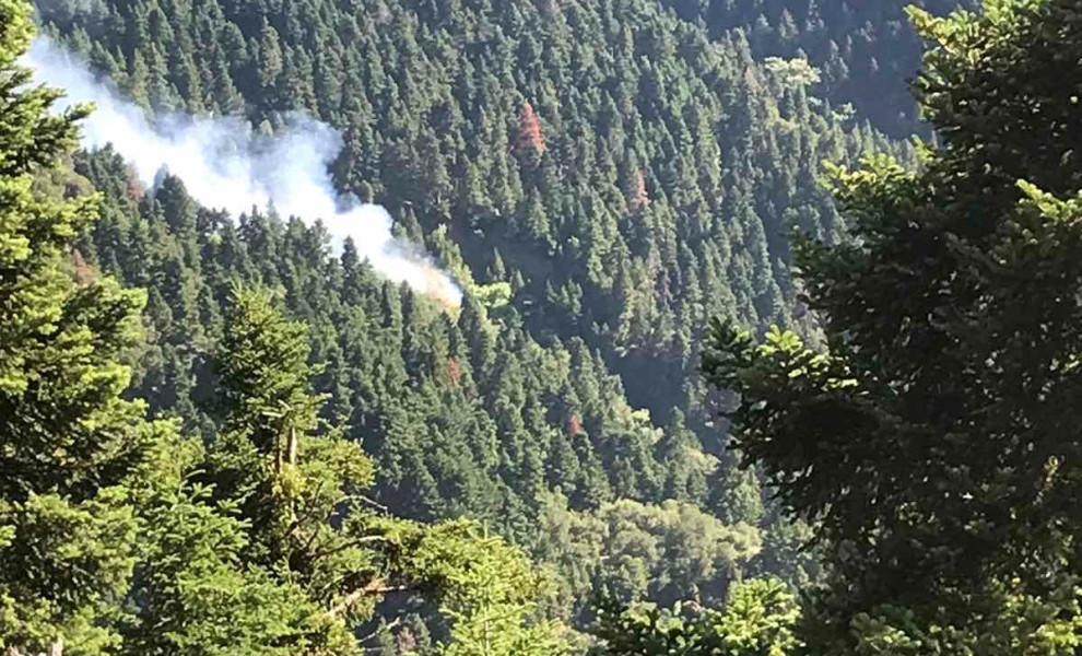 Φωτιά στα Κρυονέρια Ναυπακτίας / Φωτ.: Πυροσβεστική
