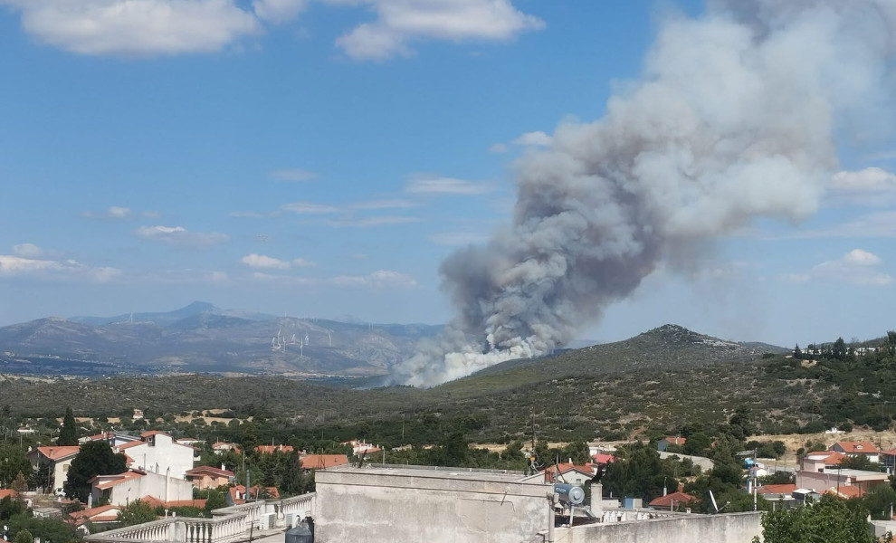 Φωτιά στην Οινόη / Facebook