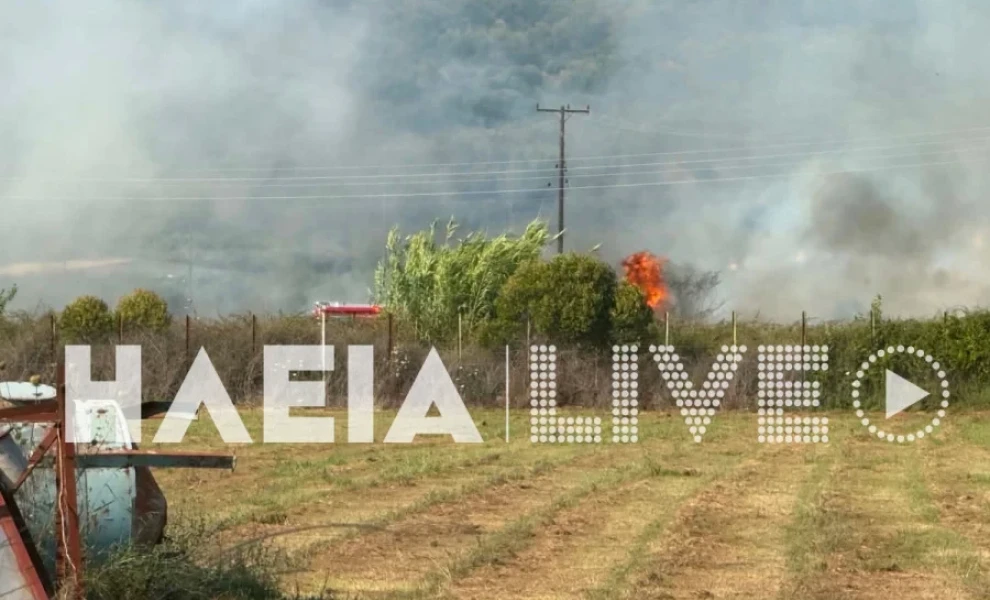 ilialive.gr