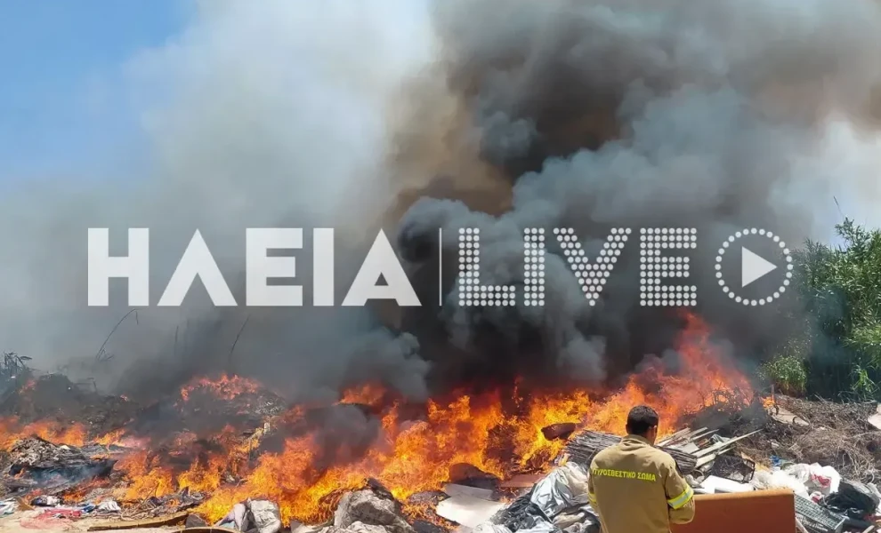 ΗΛΕΙΑ live
