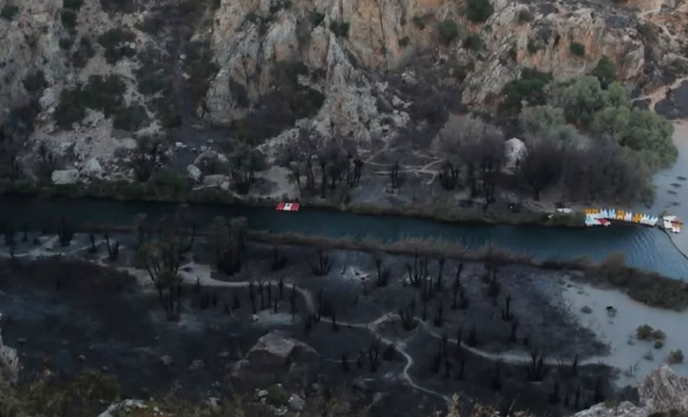Αποκαρδιωτική εικόνα από την παραλία της Πρέβελης όπου έφτασαν οι φλόγες της μεγάλης φωτιάς (πηγή: Social Media)