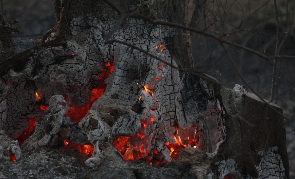 ΠΥΡΚΑΓΙΑ ΣΤΗ ΠΕΡΙΟΧΗ ΣΙΒΗΡΗ ΣΤΗ ΧΑΛΚΙΔΙΚΗ (ΦΩΤΟ: ΒΑΣΙΛΗΣ ΒΕΡΒΕΡΙΔΗΣ / ΜΟΤΙΟΝΤΕΑΜ)