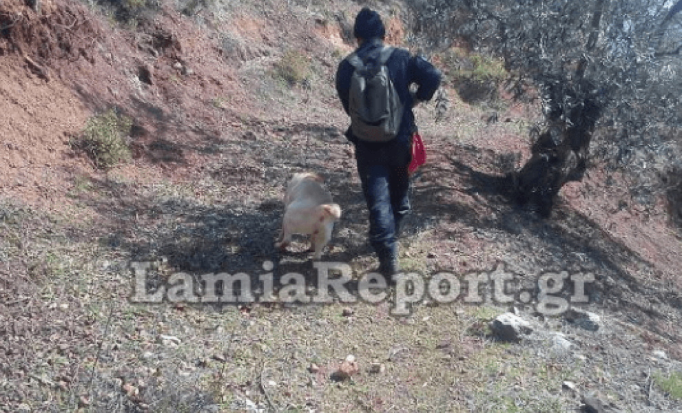 Πηγή: Lamiareport.gr