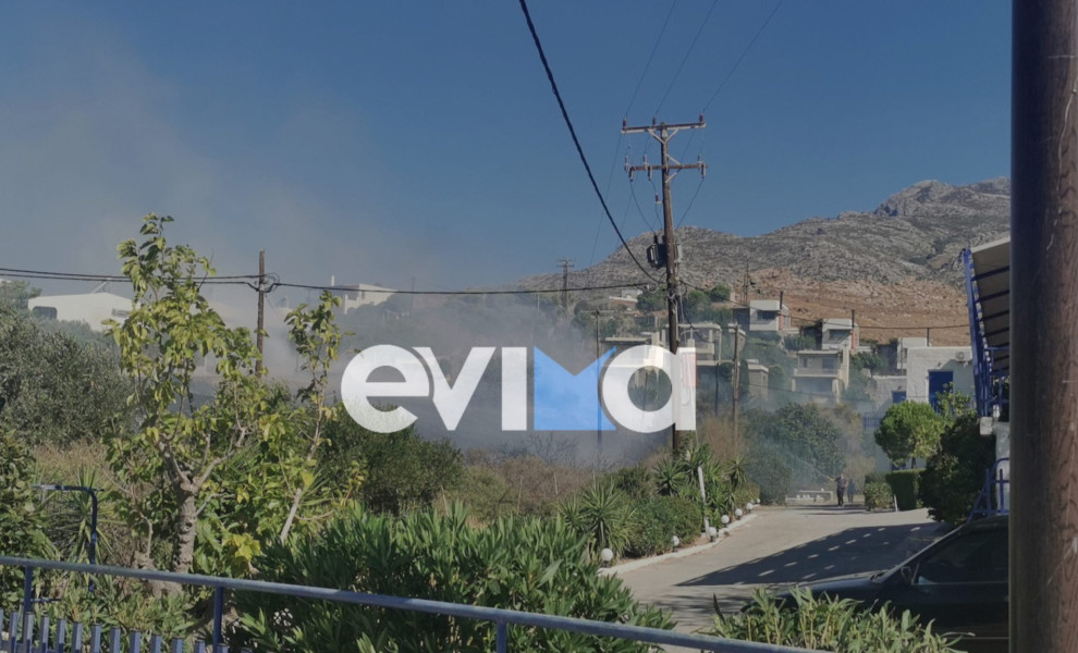 πηγή: Evima