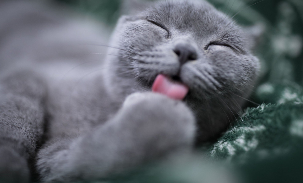 φωτο αρχείου unsplash