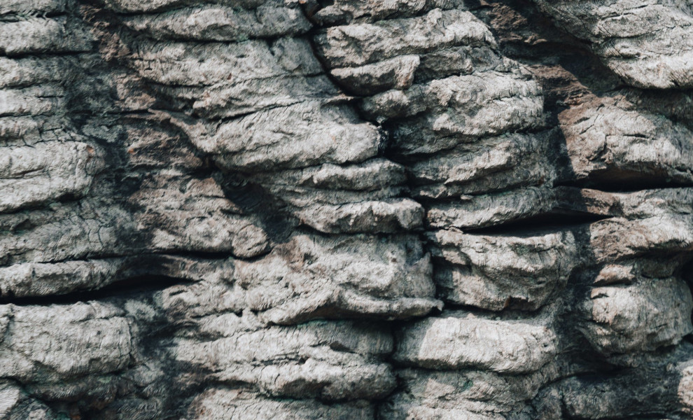 φωτό unsplash