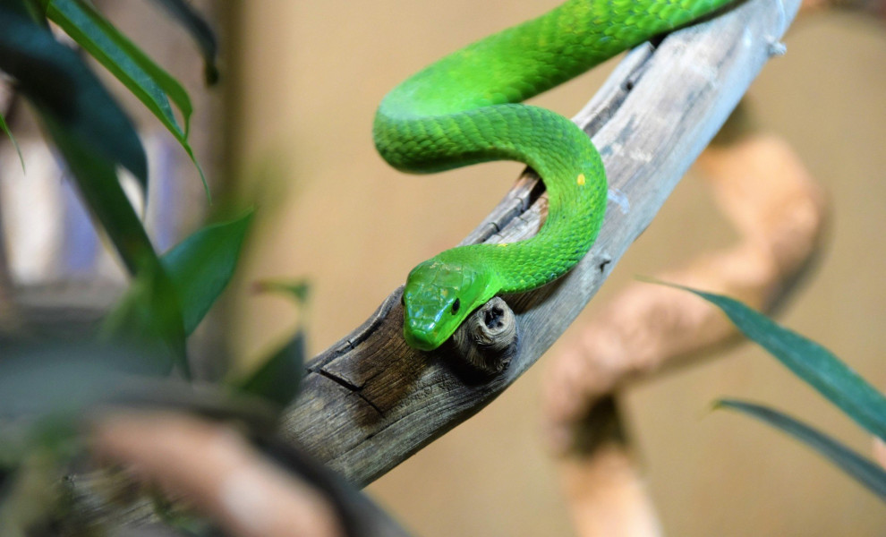 Φωτ.: Unsplash Φωτ.: Unsplash